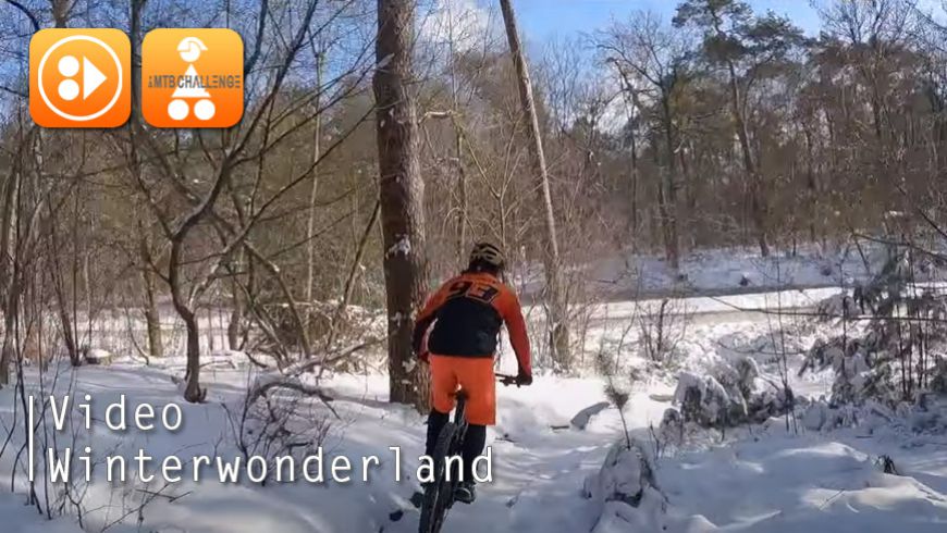 Video Winter Wonderland