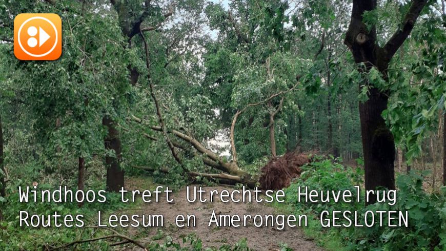 Windhoos treft Utrechtse Heuvelrug