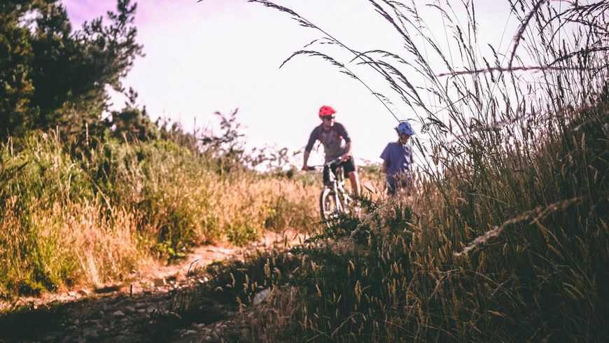 Mountainbiken in Drenthe: ideaal vanuit een vakantiepark