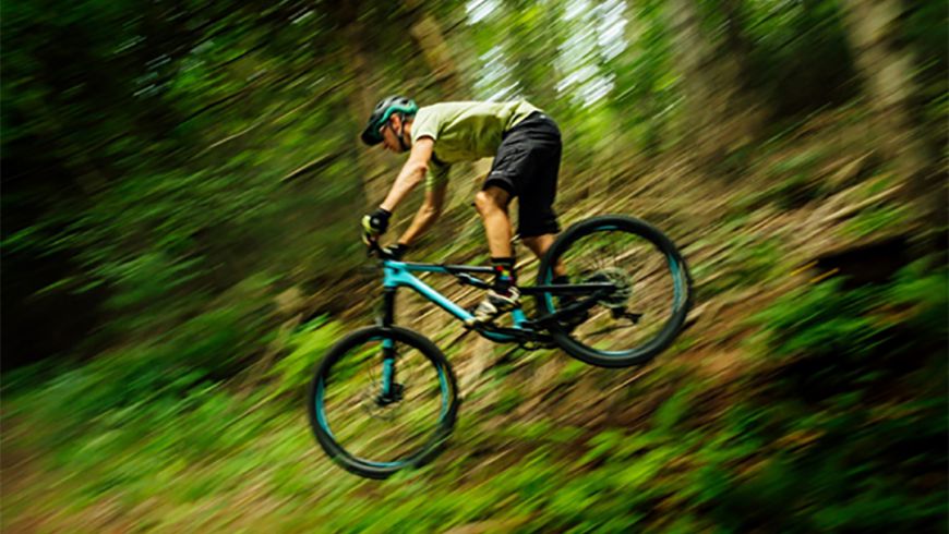 Dit zijn de bekendste fietsmerken om een goede mtb van te kopen