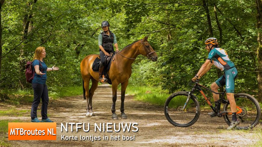 Korte lontjes in het bos!