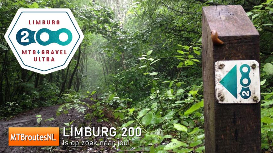 Limburg 200 is op zoek naar jou!