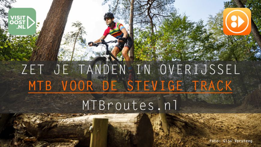 Zet je tanden in Overijssel  - MTB voor de stevige track