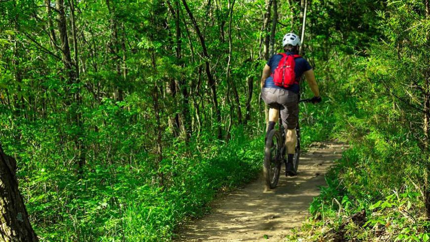 Is het verstandig om je mountainbike te verzekeren?