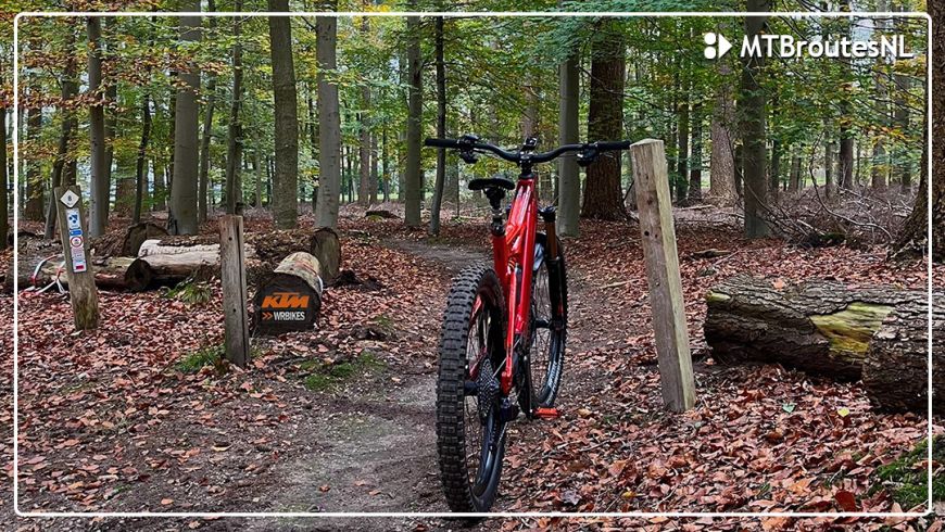 MTBroute Holten weer open – de trails liggen er top bij!