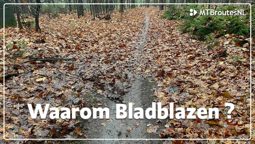 Waarom je trail nu zo strak ligt? De bladblazers waren op pad!