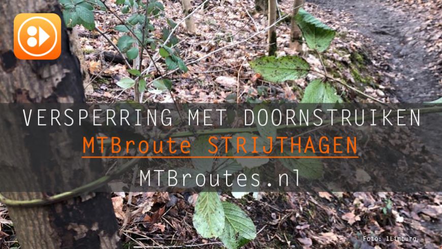 Versperring met doornstruiken