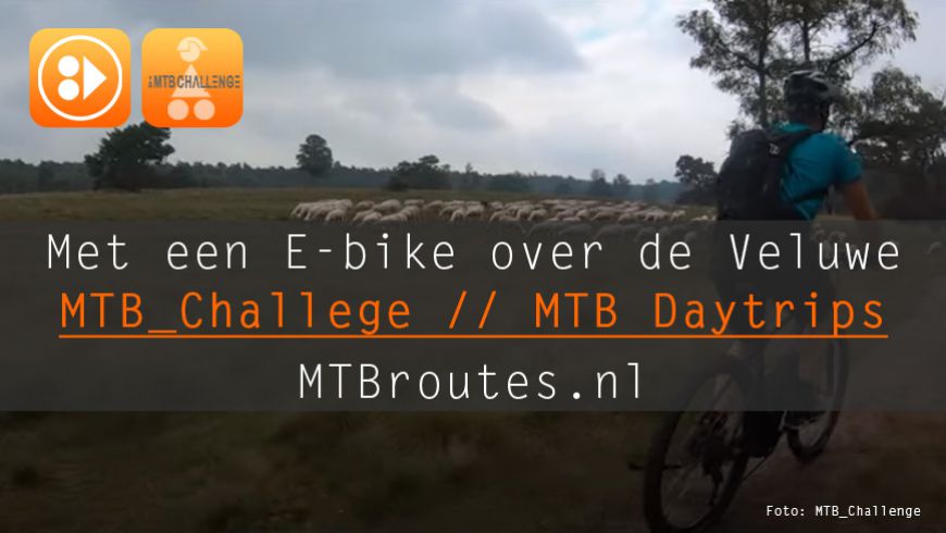 Video: Met een E-bike over de Veluwe