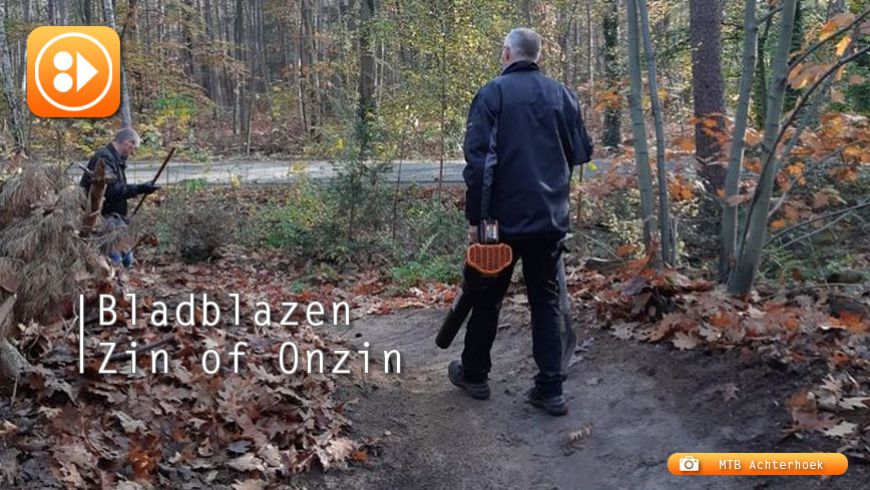 Bladblazen: Zin of Onzin